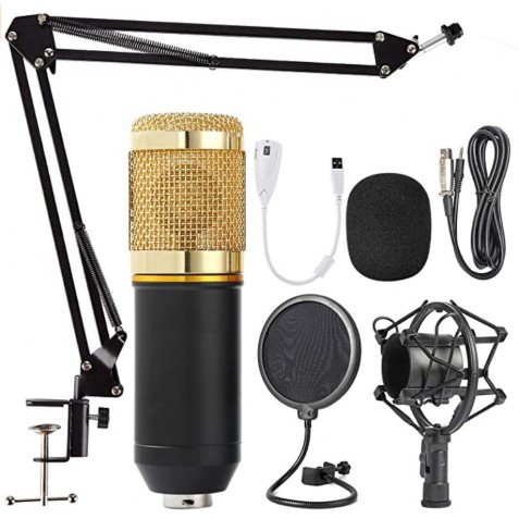 Microfono profesional grande