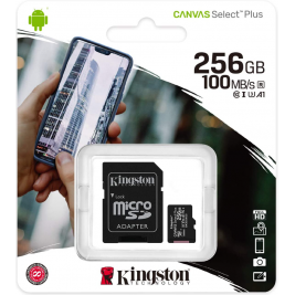Kingston micro sd 256GB Class 10